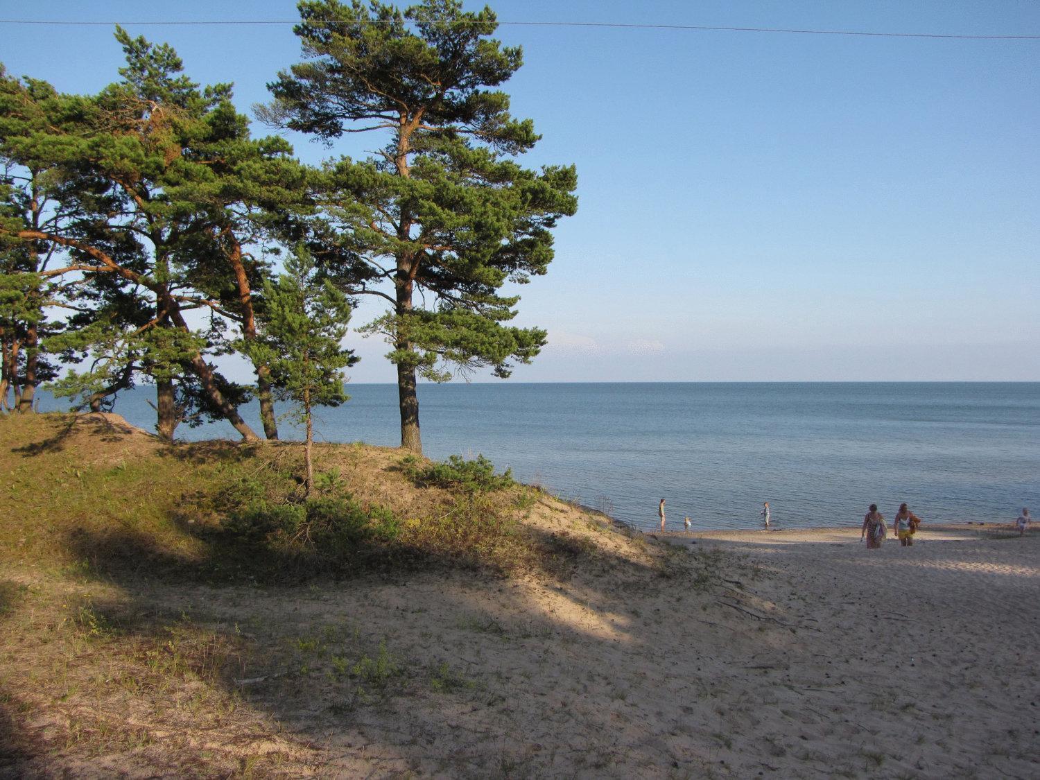 Mandjala Puhketalu - Cottages Εξωτερικό φωτογραφία